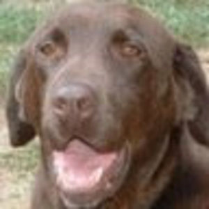 Meet your Posher, Nan